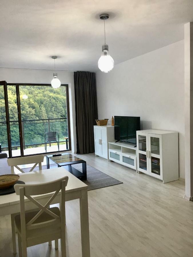 Nature View Apartment Braşov Exterior foto